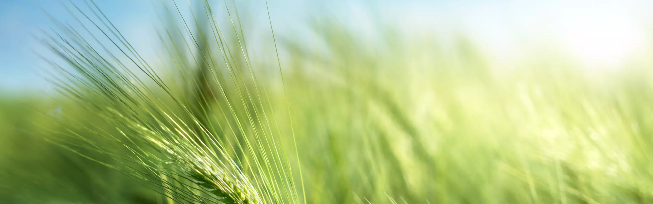 首批减少二氧化碳排放的连接器组件进入市场成熟期